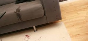sofa con manchas