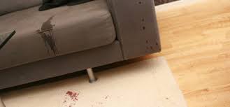 terrorista pubertad En general Como limpiar las manchas del sofá